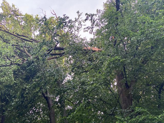 IMG-20220520-WA0018 groß.jpg